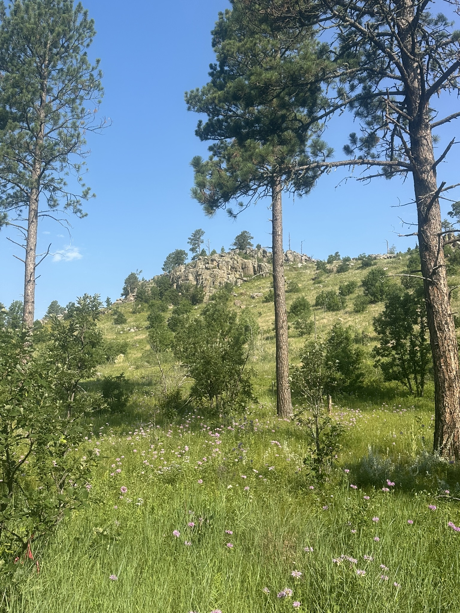 South Dakota - Image 61